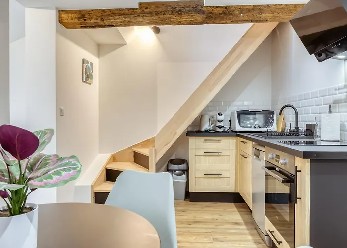 L'ecureuil Voyageur Joli Duplex Centre * روان